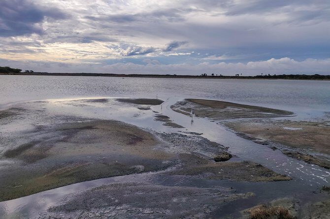 Bundala National Park Private Safari - Who Should Book This Tour?
