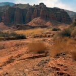 Burana Tower & Konorchek Canyons guided tour from Bishkek - Transportation and Timing