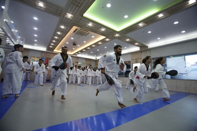 Busan: 1 Hour Taekwondo Experience with Master - Who Is This Tour Best Suited For?