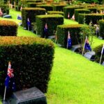 Busan city & UNESCO Tongdosa Temple Tour from Seoul by KTX Train - What’s Included and What to Expect