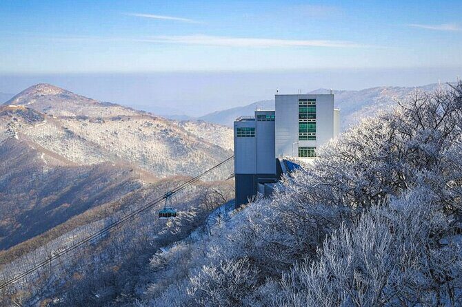 Busan Discovery Tour with Snow and UNESCO Spot - The Full Scoop on the Busan Discovery Tour