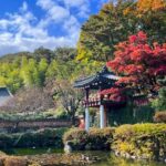 Busan: Discovery Tour With Snow & UNESCO Spot - Authentic Experiences from Past Travelers