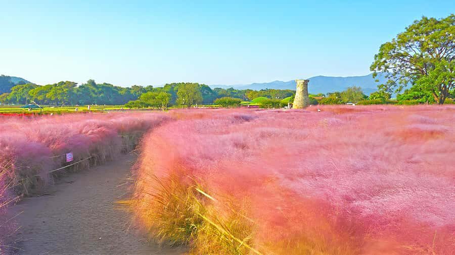 Busan: Gyeongju UNESCO Customizable Private Day & Night Tour - A Deep Dive into the Experience