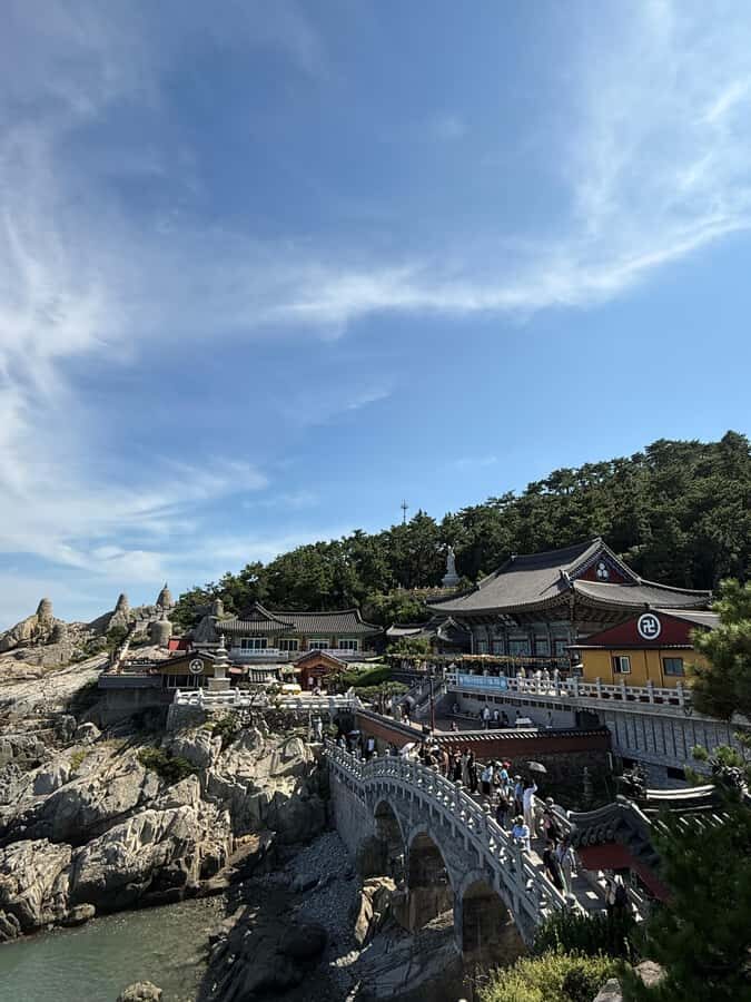 Busan: Haedong Yonggungsa Temple &Fishing Village Tour - An In-Depth Look at the Busan Coastal Adventure