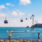Busan Hidden Gems Beaches and Local Food Private Tour - Authentic reviews highlight the quality of guides and the views
