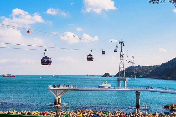Busan Hidden Gems Beaches and Local Food Private Tour - Authentic reviews highlight the quality of guides and the views