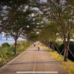 Busan Private Bike Tour - What Travelers Can Expect