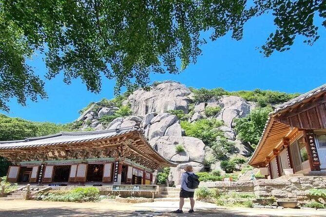 Busan Private Hiking Tour : Panoramic Views Awaits - Geumjeongsan Mountain: A Natural Beacon
