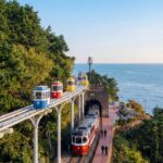 Busan: Small Group with Hotel Pickup Sky Capsule Local Guide - The Itinerary in Detail