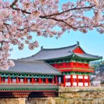 Busan: Spring Cherry Blossom & Gyeongju Highlights Day Tour - Practical Insights and Value