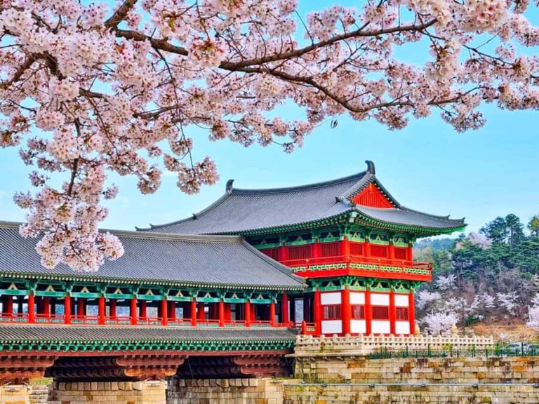 Busan: Spring Cherry Blossom & Gyeongju Highlights Day Tour - Practical Insights and Value
