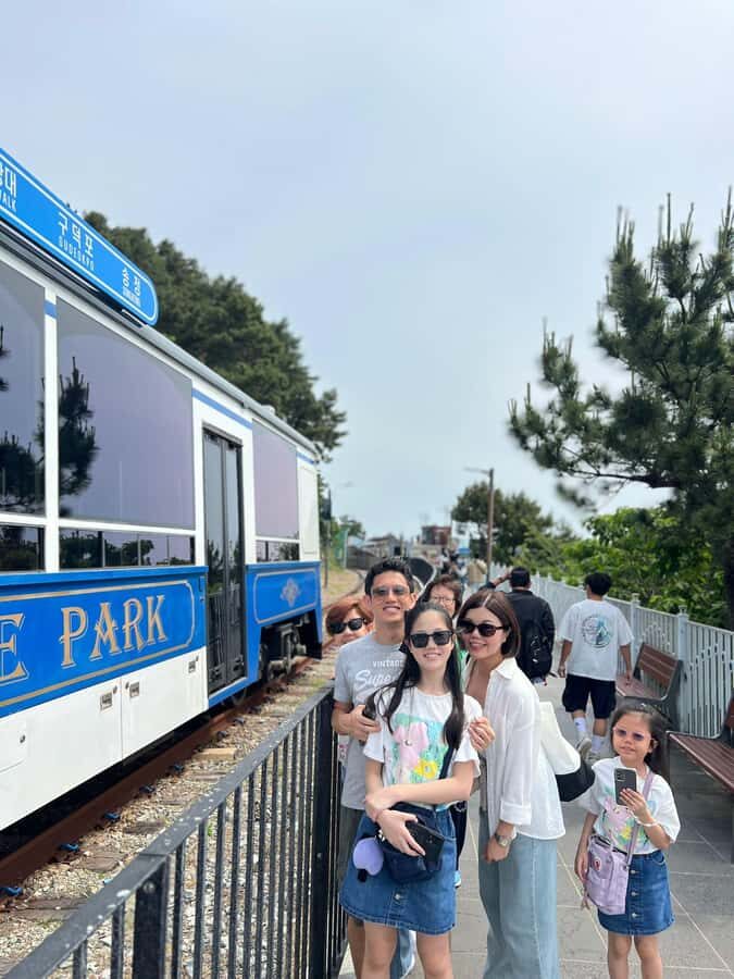 Busan: Top Attractions Tour for Cruise Guests - Who Will Love This Tour?