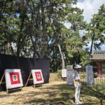 Busan:Traditional Culture Experience Tour with Lunch - Practical Details and Tips