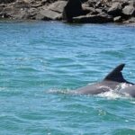 Byron Bay: Brunswick River Eco-Cruise with Brunch - The Itinerary and What to Expect