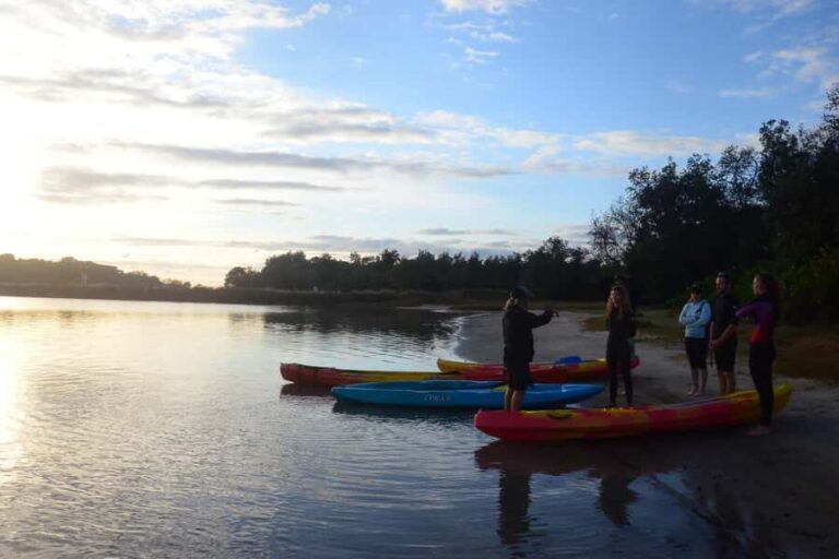 Byron Bay: Brunswick River Sunset Kayak Tour - Authentic Experiences & Review Insights