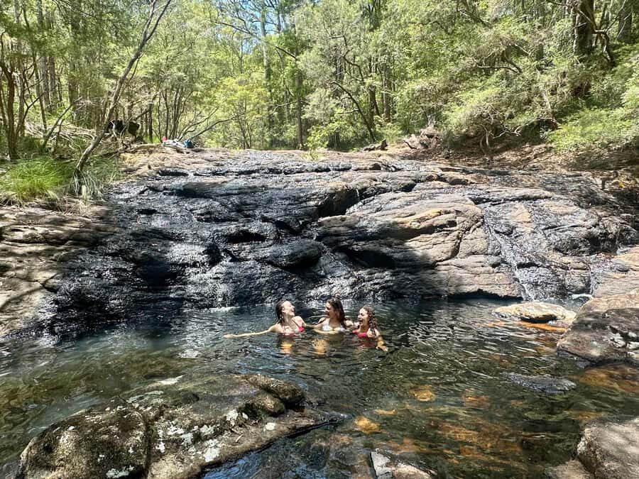 Byron Bay: Rainforest Waterfalls Guided Eco Tour - The Practical Details That Matter