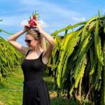 Cable Car Ride in Ta Cu Mountain And Lying Buddha in Mui Ne - What’s Included and What’s Not