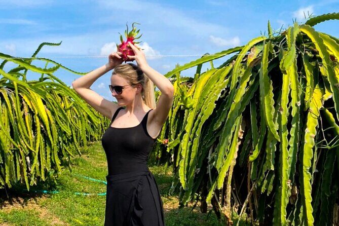 Cable Car Ride in Ta Cu Mountain And Lying Buddha in Mui Ne - What’s Included and What’s Not