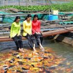 Cai Rang Floating Market and Mekong Tour 1 Day - Why This Tour Offers Good Value
