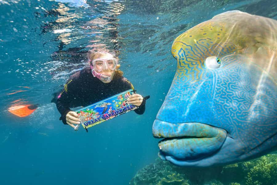 Cairns: 2-Day Barrier Reef Pontoon & Fitzroy Island Tour - Fitzroy Island: A Tropical Escape