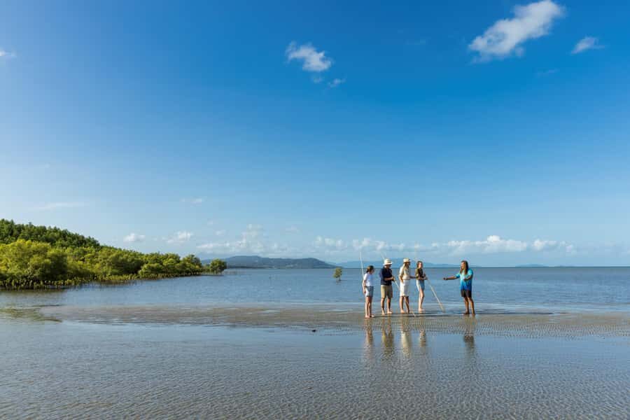 Cairns: Aboriginal Coastal Adventure & Mossman Gorge Tour - Final Thoughts: Who Should Book This Tour?