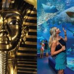 Cairns: Aquarium and Tomb of the Pharaohs Entry Ticket - Who Will Love This Experience?