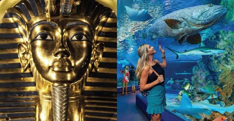 Cairns: Aquarium and Tomb of the Pharaohs Entry Ticket - Who Will Love This Experience?