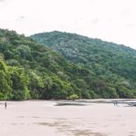 Cairns: Cape Tribulation & Daintree Rainforest Premium Tour - Transportation and Group Size