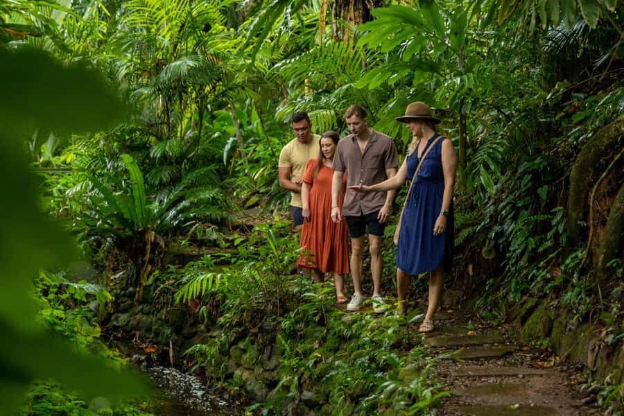 Cairns City: Cairns Koala & Creatures + City Sights Tour - In-Depth Breakdown of the Experience