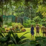 Cairns: City Sights Tour with Evening Dinner Cruise - A Full Breakdown: What to Expect from the Cairns City Sights Tour