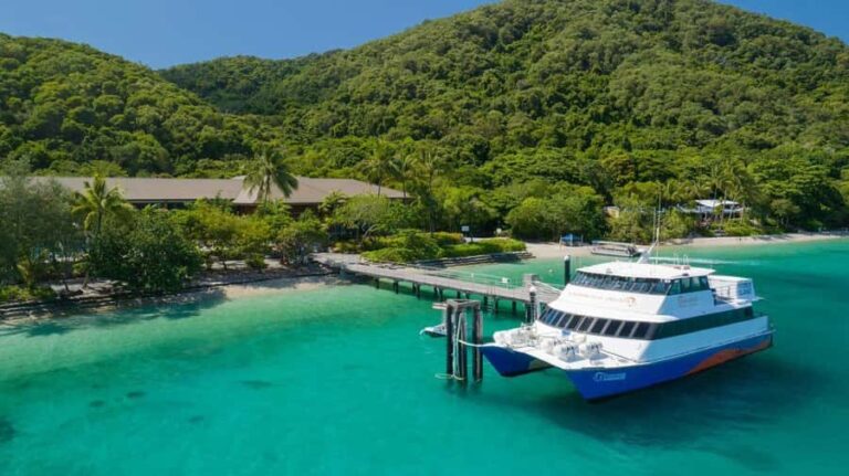 Cairns: Fitzroy Island Ferry with Optional Lunch & Activity - Arrival and Free Time on Fitzroy Island