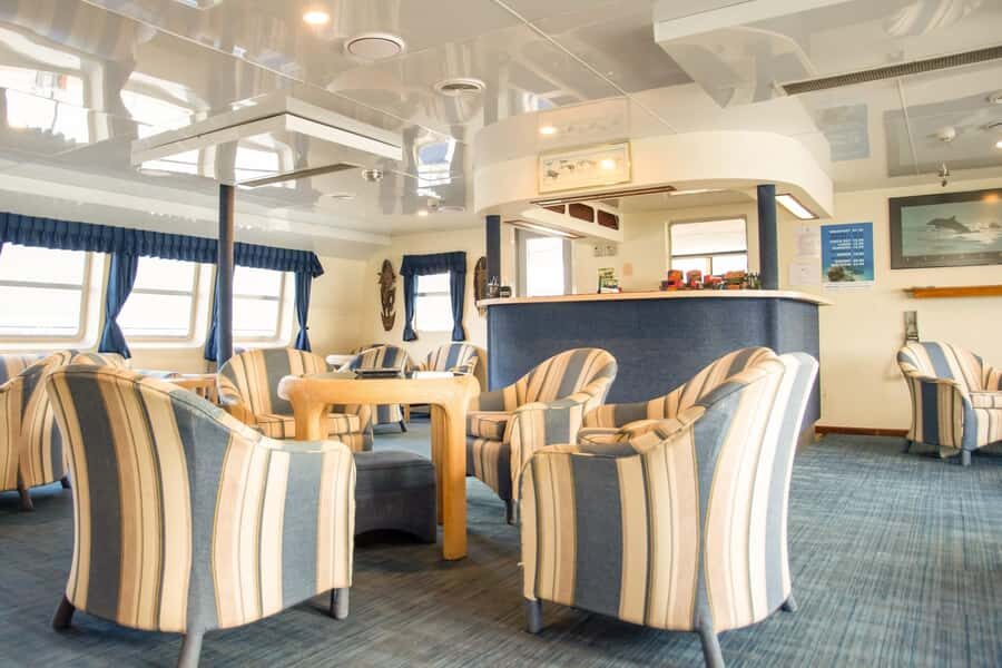 Cairns: Great Barrier Reef Overnight Snorkelling Boat Trip - Final Thoughts: Is It Worth It?