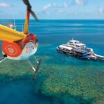 Cairns: Great Barrier Reef Pontoon, Travel by Helicopter - Reaching Moore Reef: The Multi-Level Pontoon