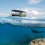 Cairns: Great Barrier Reef Small Group Snorkelling Tour - The Itinerary in Detail