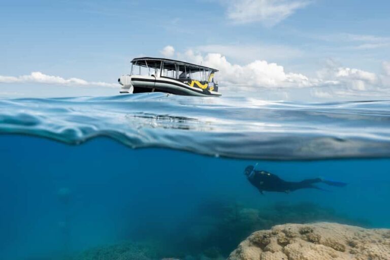 Cairns: Great Barrier Reef Small Group Snorkelling Tour - The Itinerary in Detail