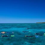 Cairns: Green Island Full-Day Tour with Diving - Practical Details and Tips