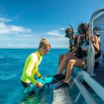 Cairns: Half-Day Outer Reef Snorkel Tour - The Itinerary in Detail