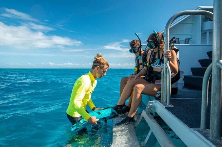 Cairns: Half-Day Outer Reef Snorkel Tour - The Itinerary in Detail