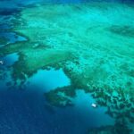 Cairns: Outer Edges of The Great Barrier Reef Scenic Flight - Who Is This Tour Best For?