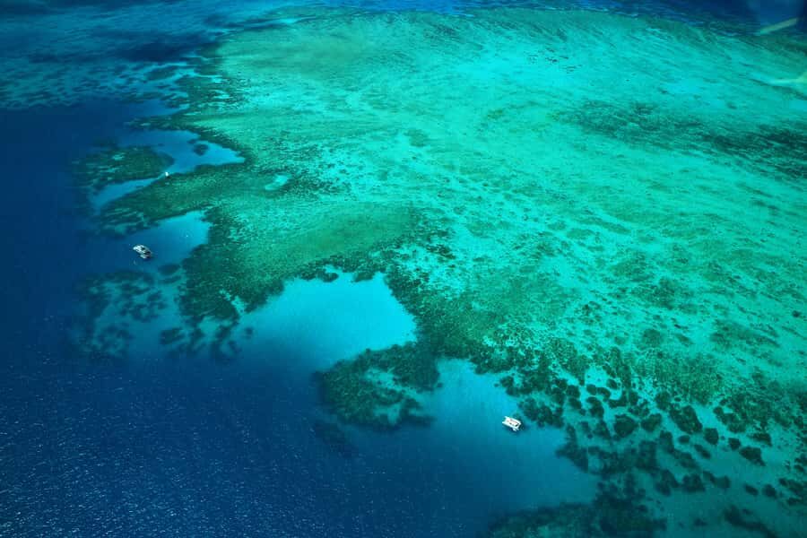 Cairns: Outer Edges of The Great Barrier Reef Scenic Flight - Who Is This Tour Best For?