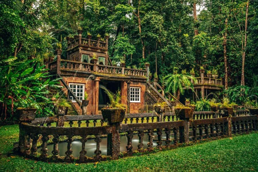 Cairns: Paronella Park Rainforest Full-Day Tour with Dinner - A Deep Dive into the Day’s Highlights