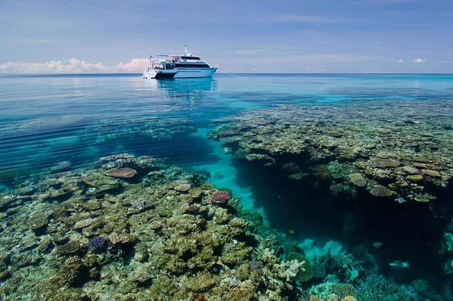 Cairns: Pro Dive 5 Day Learn to Dive Great Barrier Reef - Itinerary Breakdown: From Pool to Reef