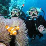Cairns: Pro Dive Great Barrier Reef 3 Day/2 Night Dive Trip - The Real Value of This Trip