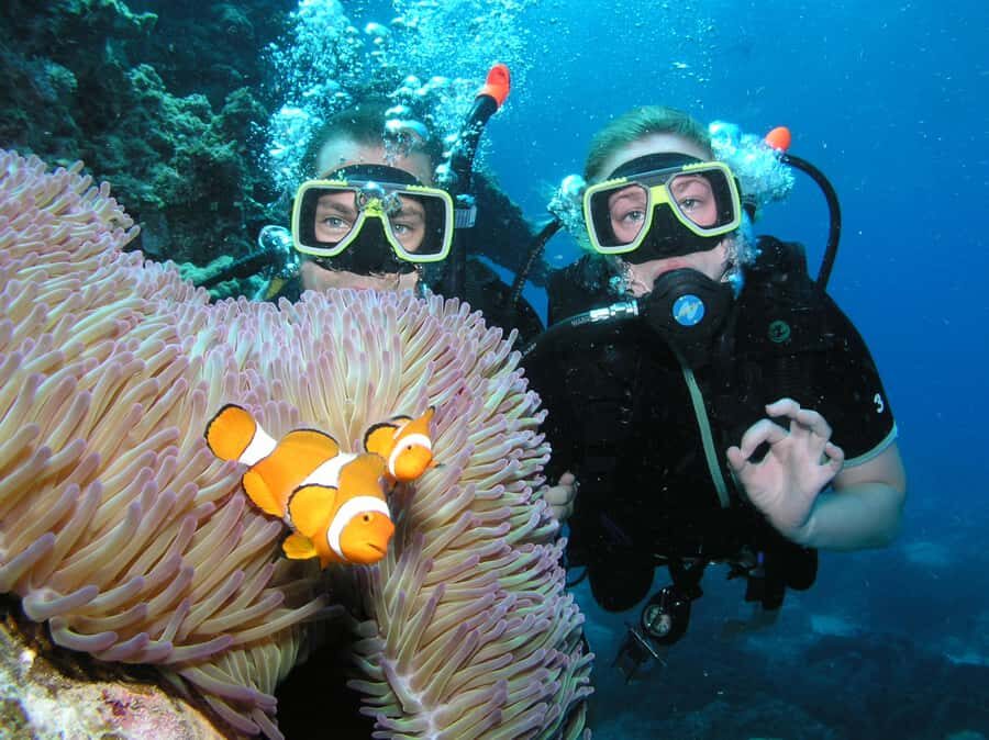 Cairns: Pro Dive Great Barrier Reef 3 Day/2 Night Dive Trip - The Real Value of This Trip