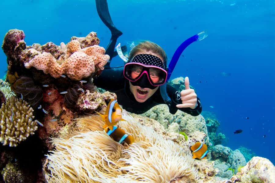 Cairns: Snorkelling and Diving Reef Day Trip - Who Is This Tour Best For?