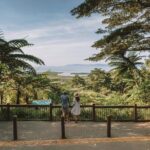 Cairns to Daintree Cape Tribulation 3 Day Tour via Port Douglas - Authentic Experiences and Guides