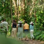 Cairns: Waterfall, Wetlands & Kuranda Scenic Rail All Inclusive - What We Think About the Price and Overall Value