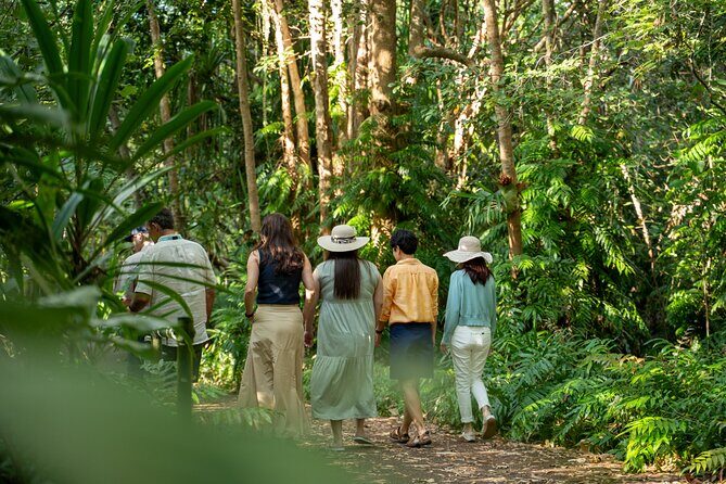 Cairns: Waterfall, Wetlands & Kuranda Scenic Rail All Inclusive - What We Think About the Price and Overall Value