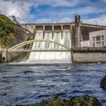 Cambridge, Matamata, Waitomo: 1-Hour Ecological River Cruise - The Highlights: What You’ll See and Experience