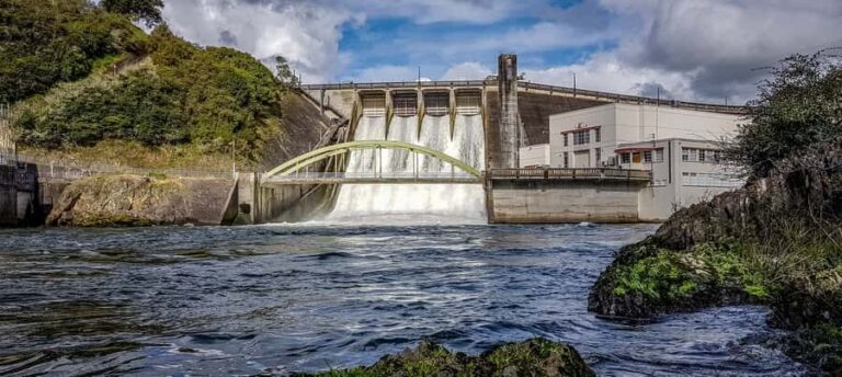 Cambridge, Matamata, Waitomo: 1-Hour Ecological River Cruise - The Highlights: What You’ll See and Experience